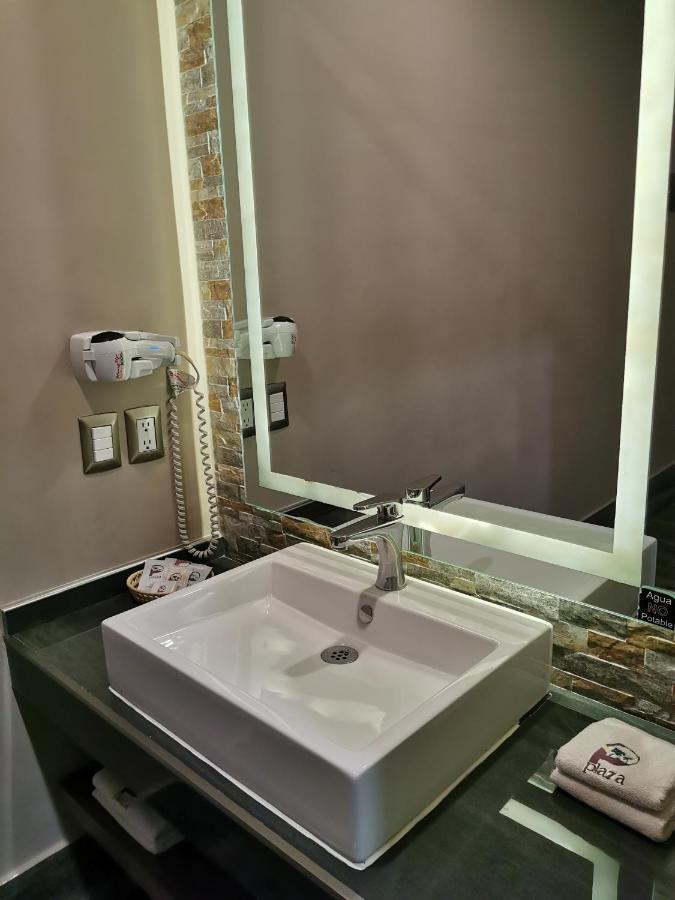 Hotel Plaza Arteaga Monterrey Dış mekan fotoğraf