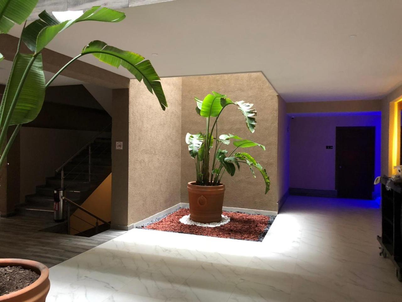 Hotel Plaza Arteaga Monterrey Dış mekan fotoğraf
