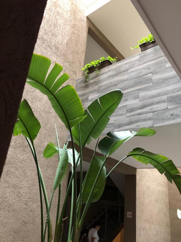 Hotel Plaza Arteaga Monterrey Dış mekan fotoğraf